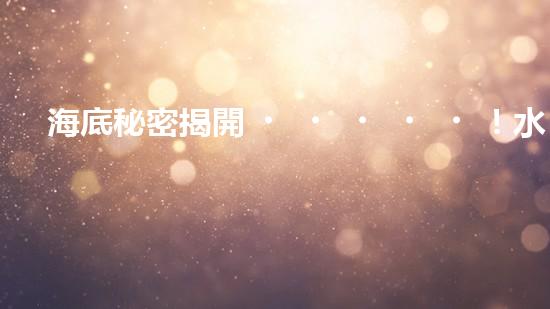 海底秘密揭開！水底清潔機器人：究竟是誰在守護著海洋的美麗？